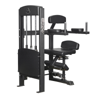 Вращение торса Gymleco 375
