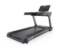 Беговая дорожка DFC ORION T790 PRO