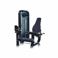 Разгибание ног сидя UltraGym UG-DM510