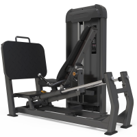 Жим ногами AnyFit PE207-123