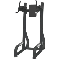 Турник BRONZE GYM BR-1016