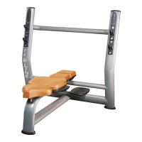 Скамья для жима горизонтальная Fitex Pro NRG Line N203
