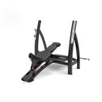 Скамейка для жима под углом вверх Fitex Pro Status FTX-7338
