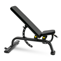 Скамья универсальная BRONZE GYM BR-1001