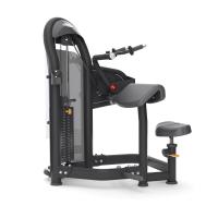 Разгибание сидя на трицепс MATRIX Aura G3-S45