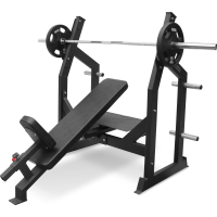 Скамья для жима под углом BRONZE GYM PARTNER AL-305