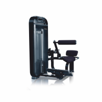 Разгибание спины UltraGym UG-DM503
