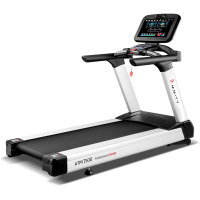 Беговая дорожка Ammity Pro ATM 7500