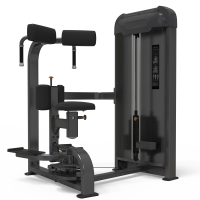 Торс машина AnyFit PE303-123