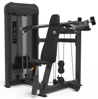 Плечевой жим AnyFit PE102-96