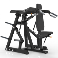Жим от плеч Impulse ECP101