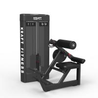 Разгибание спины KRAFT Fitness ADVANT KFABE